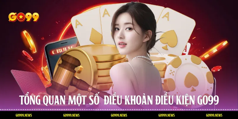 Tổng quan một số điều khoản điều kiện Go99